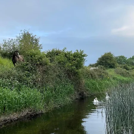 Modern, Cosy Country With Local Sauna Session * Cloncurry